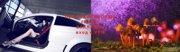 СК Абинск
