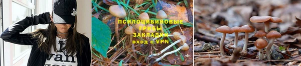 марихуана Абаза