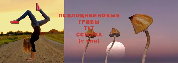 spice Мегион