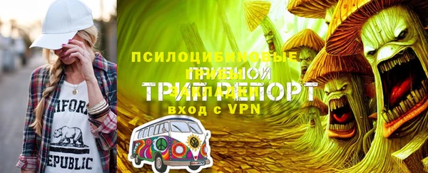 СК Абинск