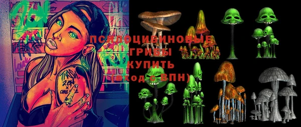 ешки Алексеевка