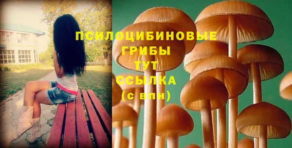 СК Абинск