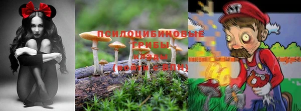 СК Абинск