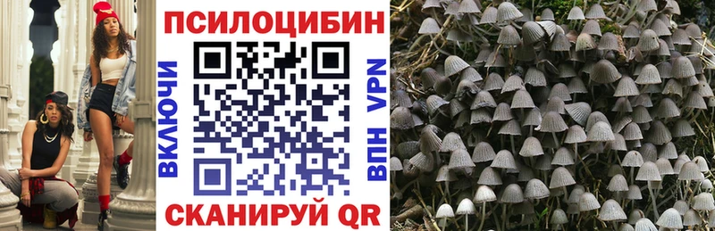 Галлюциногенные грибы MAGIC MUSHROOMS Щёлково